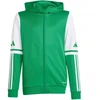 Adidas Squadra 25 Hoody Jr JP3163 džemperis