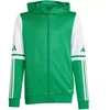 Adidas Squadra 25 Hoody Jr JP3163 džemperis