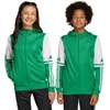 Adidas Squadra 25 Hoody Jr JP3163 džemperis
