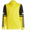 Adidas Squadra 25 Hoody Jr JP3386 džemperis