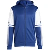 Adidas Squadra 25 Hoody M JD2989 džemperis