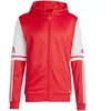 Adidas Squadra 25 Hoody M JD2990 džemperis