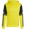Adidas Squadra 25 Hoody M JL7679 džemperis