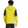 Adidas Squadra 25 Hoody M JL7679 džemperis