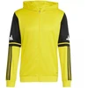 Adidas Squadra 25 Hoody M JL7679 džemperis