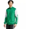 Adidas Squadra 25 Hoody M JP3164 džemperis