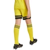 adidas Squadra 25 Jr JJ2421 Šortai