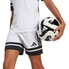 adidas Squadra 25 Jr JJ2422 Šortai