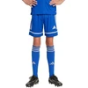 adidas Squadra 25 Jr JN5455 Šortai