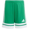adidas Squadra 25 Jr JN7484 Šortai