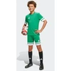 adidas Squadra 25 Jr JN7484 Šortai