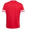 Adidas Squadra 25 Jr marškinėliai JJ0051