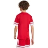Adidas Squadra 25 Jr marškinėliai JJ0051