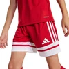 Adidas Squadra 25 Jr marškinėliai JJ0051