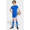Adidas Squadra 25 Jr marškinėliai JJ0054