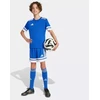 Adidas Squadra 25 Jr marškinėliai JJ0054