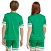 Adidas Squadra 25 Jr marškinėliai JN7486