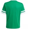 Adidas Squadra 25 Jr marškinėliai JN7486