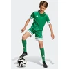 Adidas Squadra 25 Jr marškinėliai JN7486