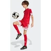 adidas Squadra 25 Jr Šortai JJ2416