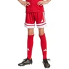 adidas Squadra 25 Jr Šortai JJ2416