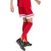 adidas Squadra 25 Jr Šortai JJ2416