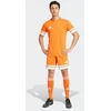 adidas Squadra 25 M JC8676 šortai