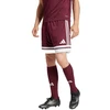adidas Squadra 25 M JC8677 šortai