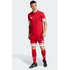 adidas Squadra 25 M JE7745 Šortai