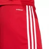 adidas Squadra 25 M JE7745 Šortai