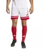adidas Squadra 25 M JH3404 šortai