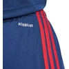 adidas Squadra 25 M JH3408 šortai