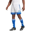 „adidas Squadra 25 M JH3409“ šortai