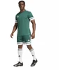 adidas Squadra 25 M JH3411 šortai