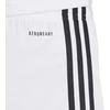 adidas Squadra 25 M JH3412 šortai