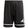 adidas Squadra 25 M JN5469 šortai