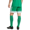adidas Squadra 25 M JN7482 šortai