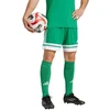 adidas Squadra 25 M JN7482 šortai