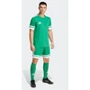 adidas Squadra 25 M JN7482 šortai