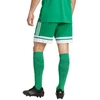 adidas Squadra 25 M JN7482 šortai