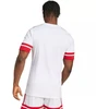 Adidas Squadra 25 M marškinėliai JG5829