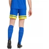 adidas Squadra 25 moteriški šortai, mėlyni ir geltoni, JN5408