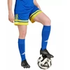adidas Squadra 25 moteriški šortai, mėlyni ir geltoni, JN5408
