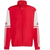 Adidas Squadra 25 Presentation M džemperis JD2969