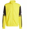 Adidas Squadra 25 Presentation M JP3385 sportinis megztinis