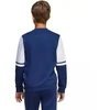 Adidas Squadra 25 Sweat Crew Jr JD4814 džemperis
