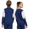 Adidas Squadra 25 Sweat Crew Jr JD4814 džemperis