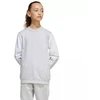 Adidas Squadra 25 Sweat Crew Jr JD4824 džemperis