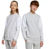 Adidas Squadra 25 Sweat Crew Jr JD4824 džemperis
