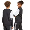 Adidas Squadra 25 Sweat Crew Jr JE2773 džemperis